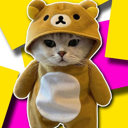 CryptoSageAE's tweet image. H🚀✨ Join the Revolution with $MICU! ✨🚀

Introducing MICU, the most purrfect kitty-themed meme coin on the Solana blockchain! 🐱💰

Don't miss out on the excitement and potential gains! 🎉💸

🔗 Check out our website for all the details: micukitty.fun/#about