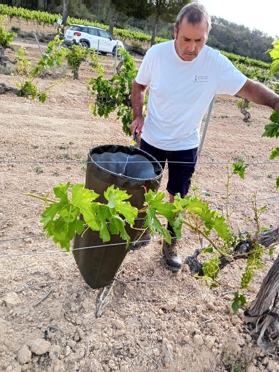 GVA Agricultura, Agua, Ganadería y Pesca tweet media