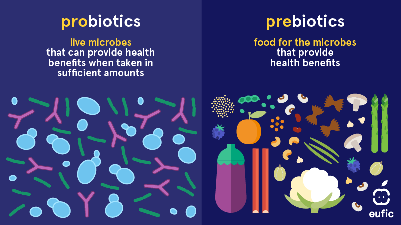 SciFoodHealth's tweet photo. 🌍 On #WorldMicrobiomeDay, discover the difference between #prebiotics & #probiotics!
🥗Prebiotics feed your gut bacteria, while🦠Probiotics provide living microbes.
Learn more about their impact on #guthealth by #HumanMicrobiomeAction.
Read more🔗 https://t.co/7IHNCqxN9n https://t.co/UYzbZjlOq4