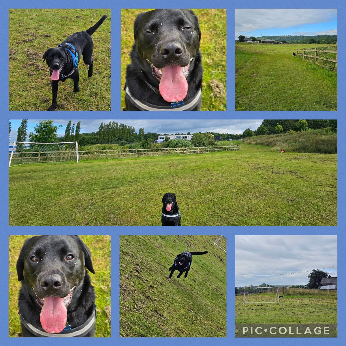 Obi Wong & Mrs Wong tweet media