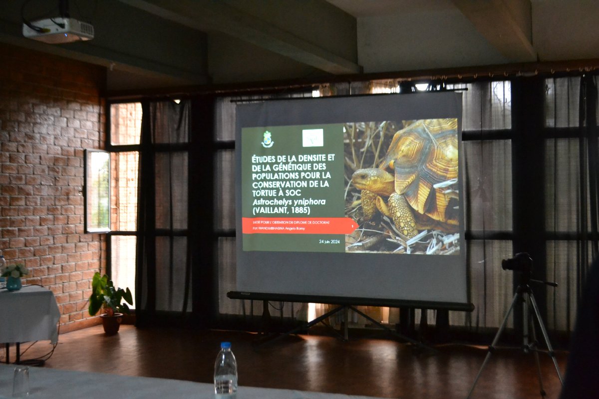 Angelo Ramy tweet media