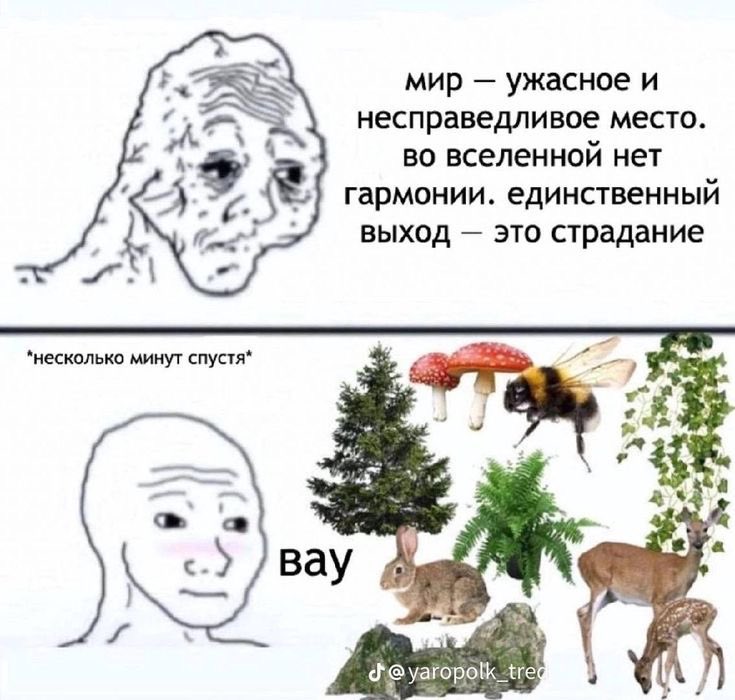katerinahecate's tweet photo. Причина ходить в лес: https://t.co/ADUhpijwI9