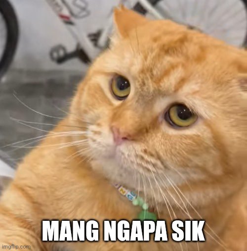 leonyns's tweet photo. @ceritadungimut Foto favorit aku &amp; @AriefRPutranto. Alasan follow selain buat nyetok foto Adung dgn mukanya yg versatile: kadang melas, kadang males (kami abadikan jadi meme stiker!), juga buat nyimak asbunisasi mbaknya.

HBD ADUNG! Jayalah di laut, di udara, &amp; di tenda fakboimu yg rubuh itu! 🥳 https://t.co/cx0L8PqHZ8