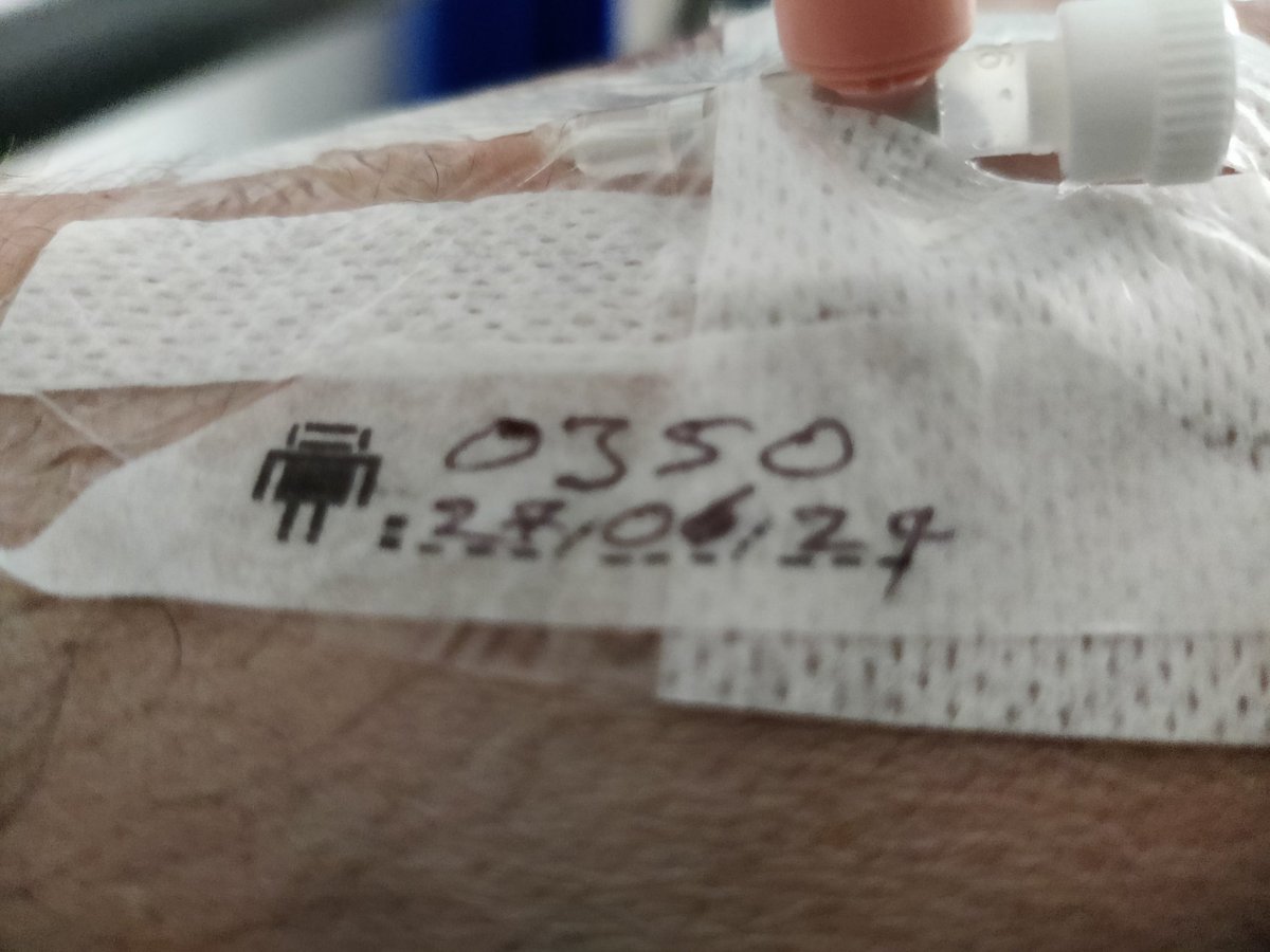 Grrrrranosaurus Dex tweet media