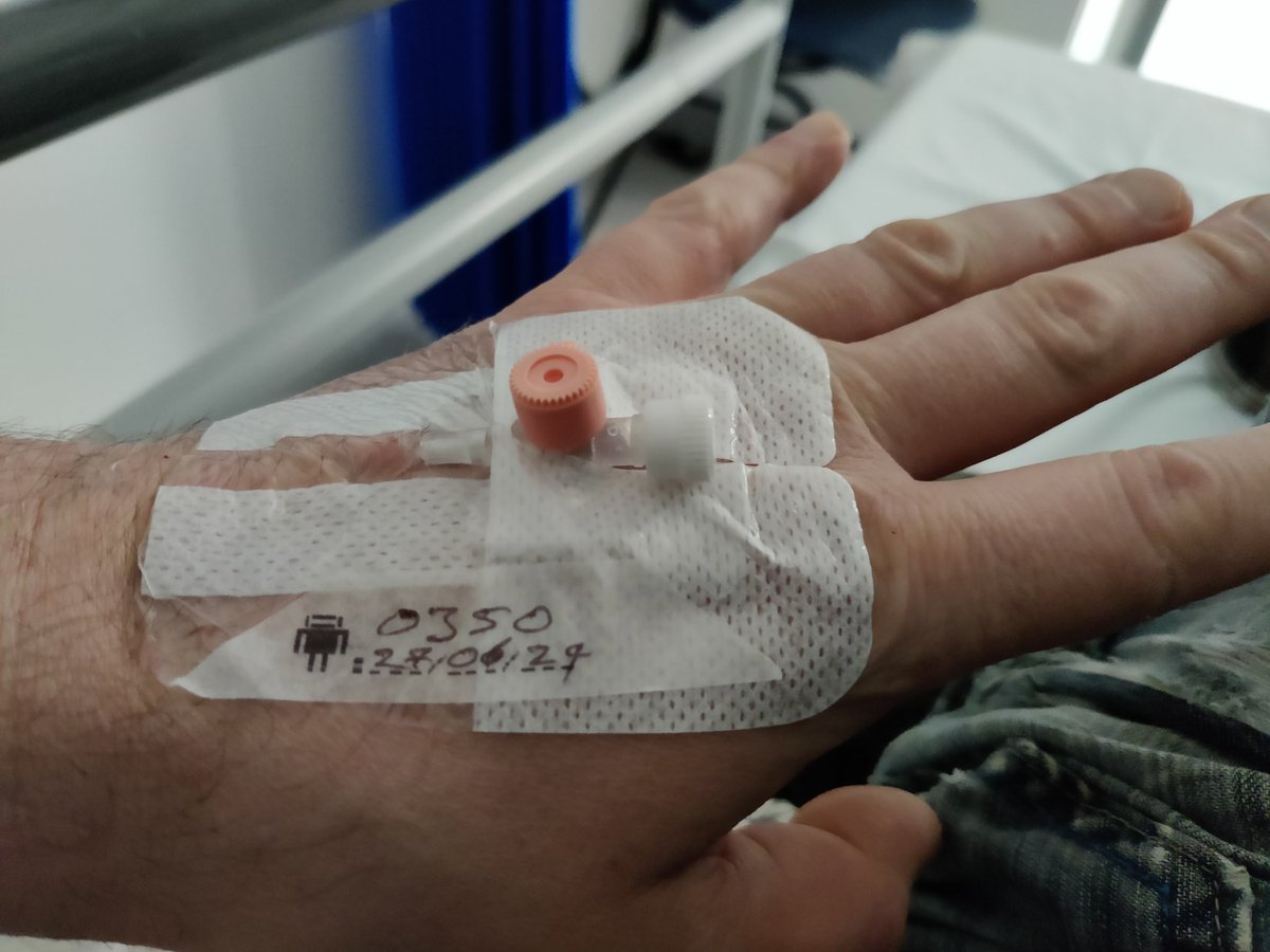 Grrrrranosaurus Dex tweet media