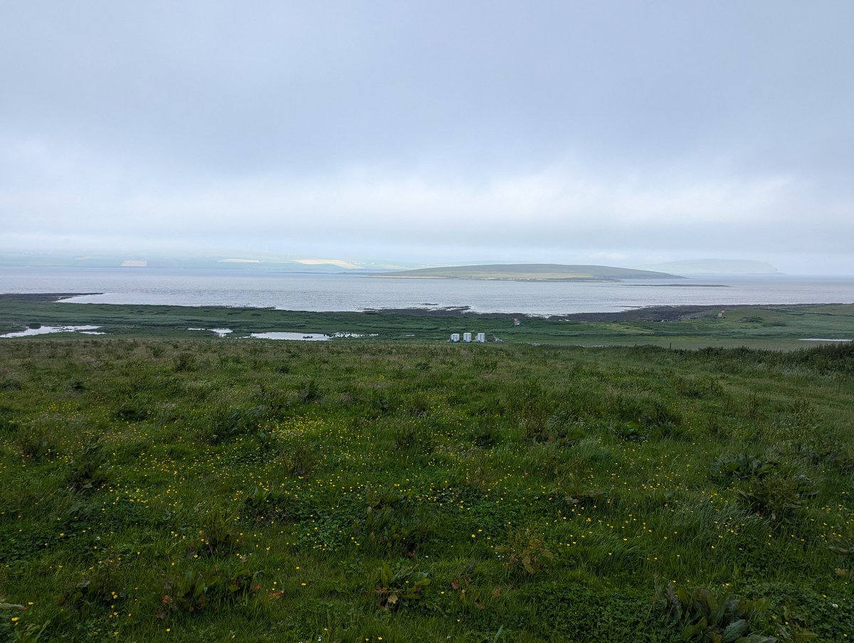 LindseyKemp1's tweet photo. I have arrived for Swandro Excavation! https://t.co/ThVOJ1IN7u