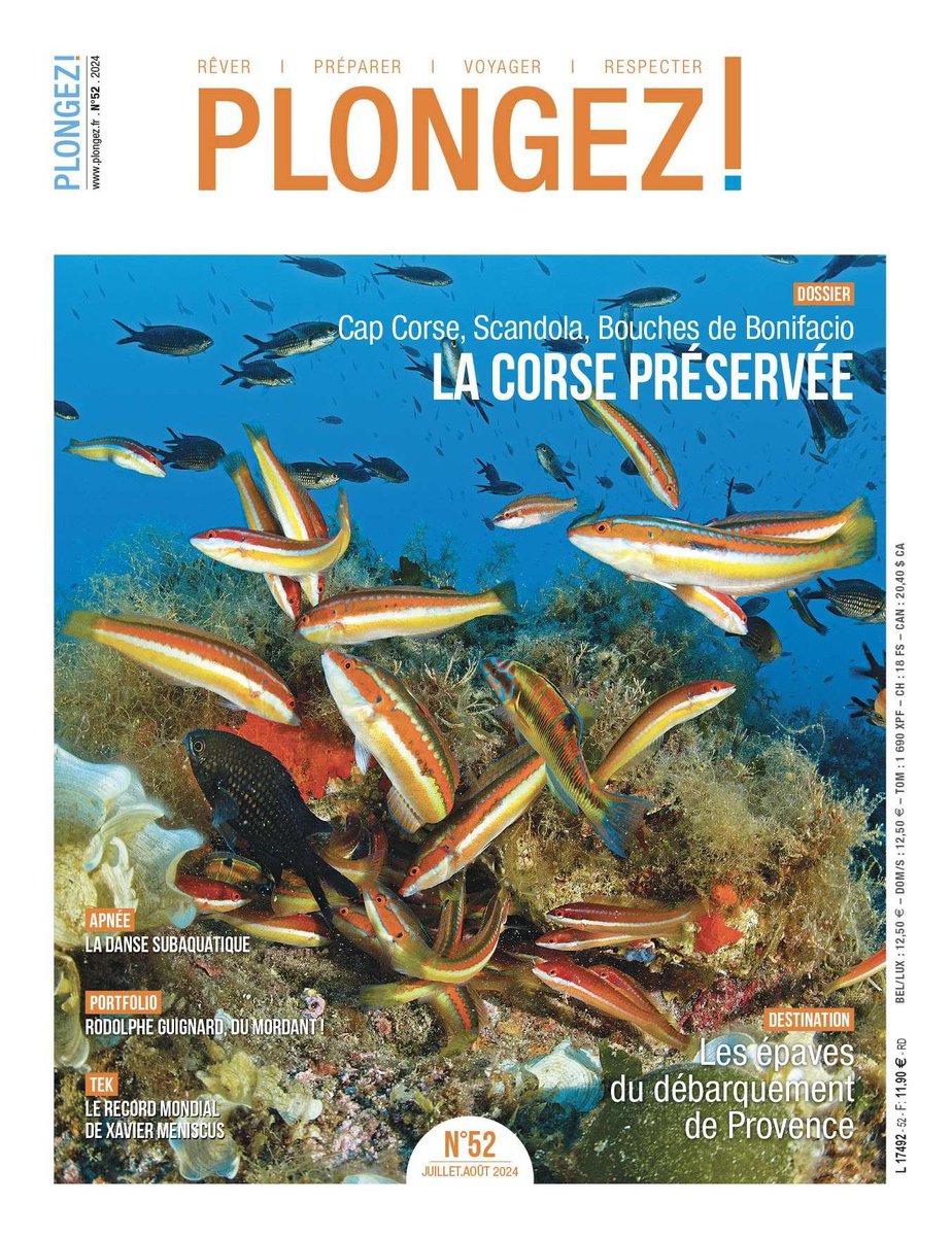 Le n°52 sort en kiosque demain ! Au sommaire de ce numéro : plongez.fr/sommaire-n52/
