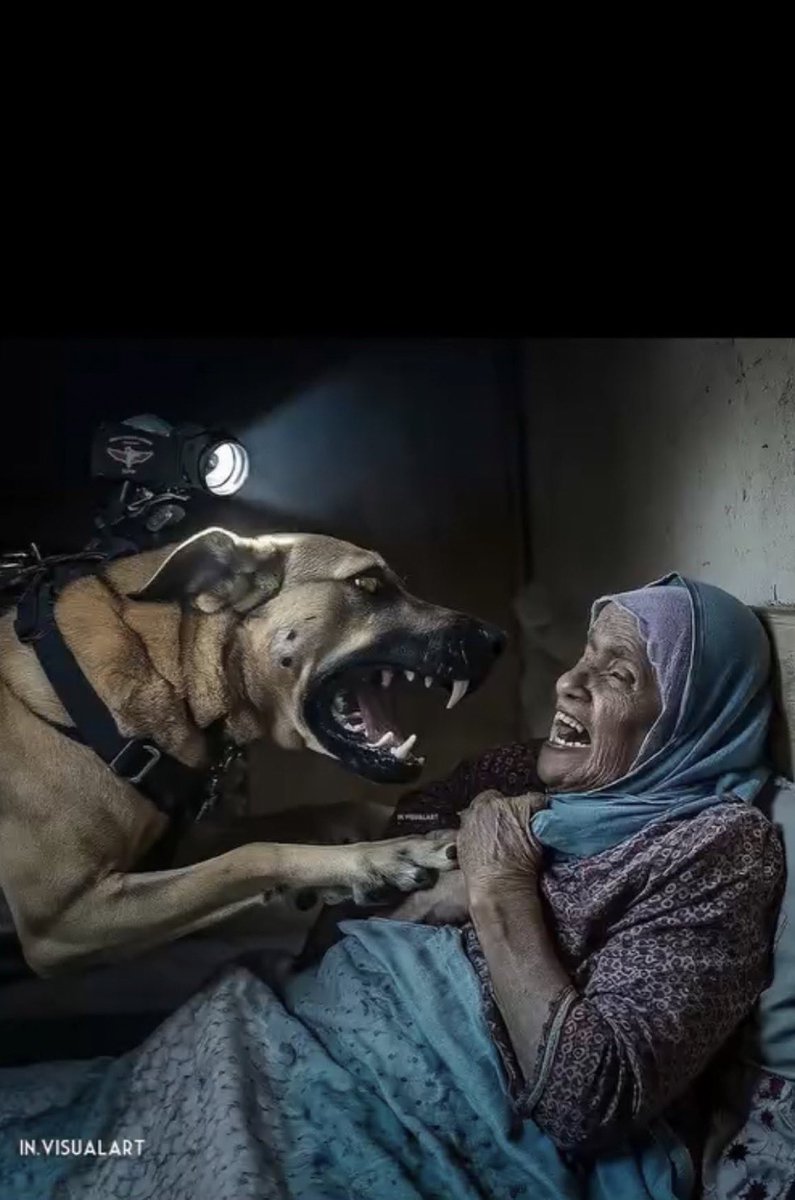 ra123456i's tweet photo. This photo and the video documenting this crime must reach every human being on the face of this earth and its contents translated into all languages ​​of the world so that everyone knows the nature of the criminal enemy we face on our land #Palestine 
#Jabalia_Camp
#Gaza_now https://t.co/O8PeJrPrbS