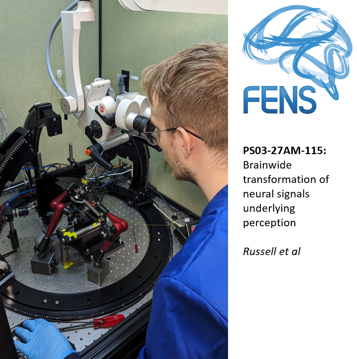 If you are attending <a href="/FENSorg/">FENS</a> today, check out my poster on my PhD work so far with the brilliant <a href="/MichaelBLynn_/">Michael Lynn</a> and <a href="/ArminLak/">Armin Lak</a>.
Come see how we combine optogenetics, multi-NP probe insertions and complex behavior to investigate how perceptual signals propagate through the brain.