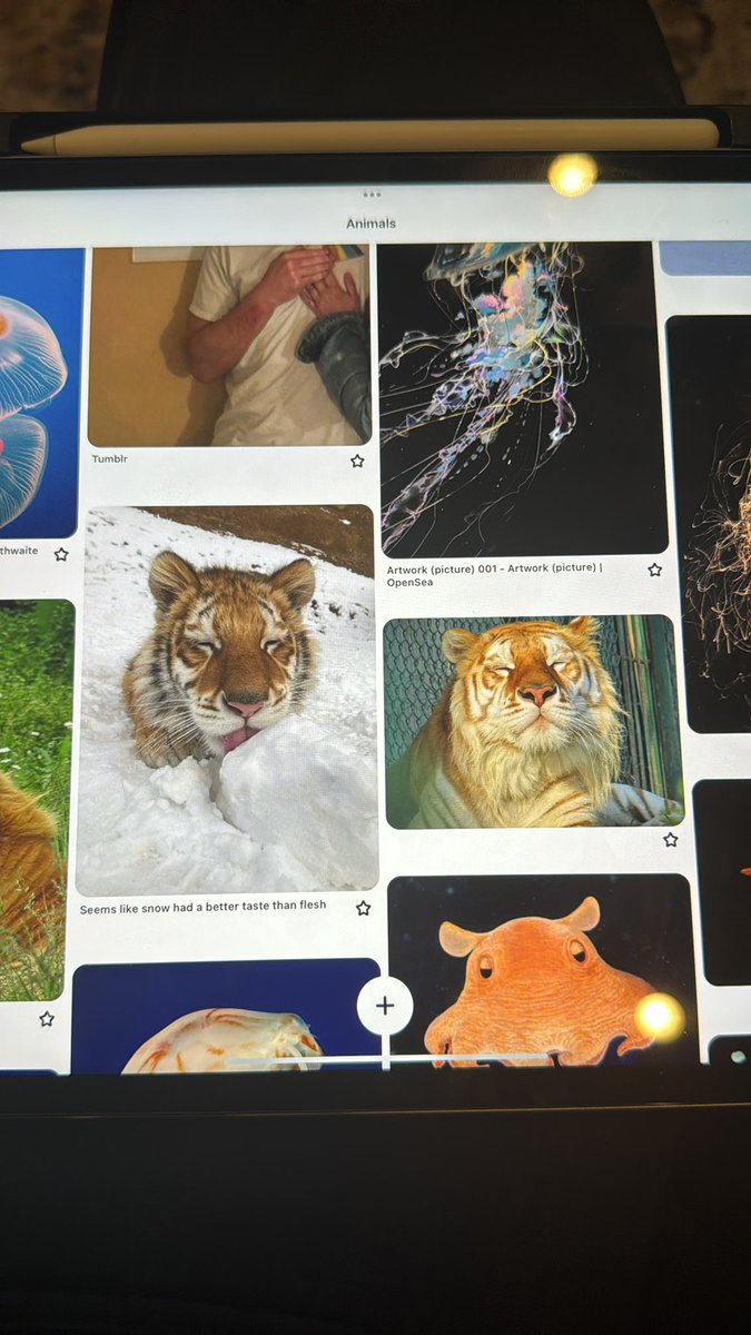 alienmarquis's tweet photo. Scrolling on Pinterest on my iPad is just phenomenal https://t.co/jpH2qXCmDC