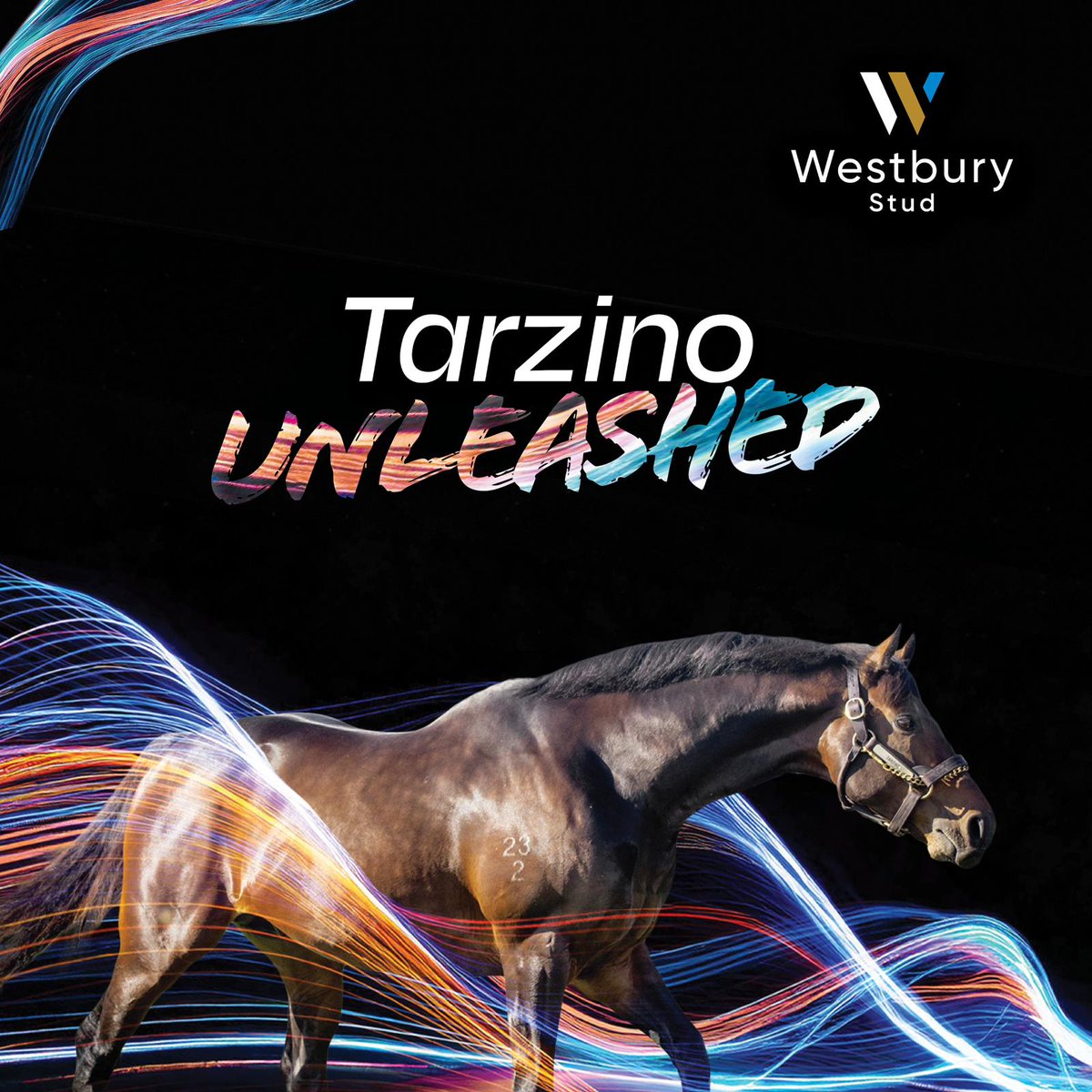 WestburyStud's tweet photo. Congrats to @OTIRacing @ANeashamRacing & Dylan Gibbons on an impressive win by the 3YO #Tarzino filly #Tenniel. A 170k RTR purchase for Phill Cataldo & connections @KarakaChat. #stayerinthemaking https://t.co/hsWBkx1iFb