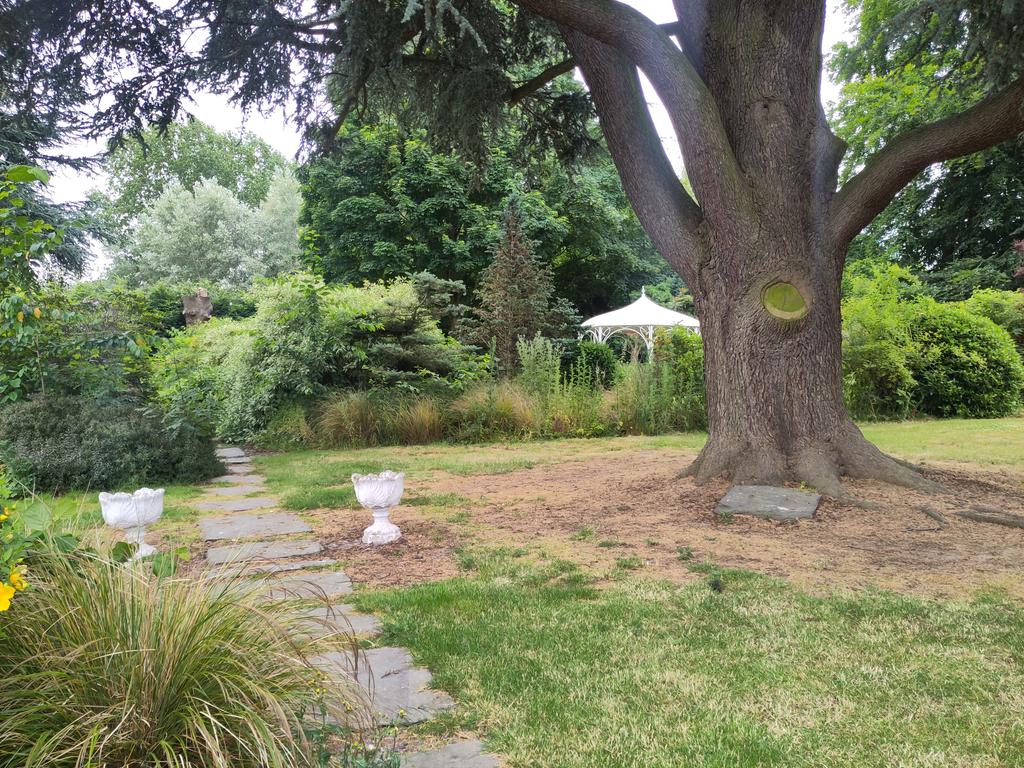 Getting lost in the green before a day of <a href="/ucu/">UCU</a> green new deal training, to kick start my journey as @manmetucu environment officer / green rep