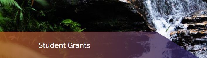 The RBMS Honours/Masters Research Grants 2024 Round will be closing this Sunday 30th June at 11:59PM. 

The call for applications and application form can be downloaded from: buff.ly/3XEXcg8