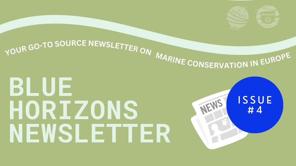 BLUE4ALLproject's tweet photo. 🌊 Dive into our 4th #BlueHorizons #joint #newsletter with @MSP4BIO_Project !
Discover the latest on #MSP, #MPAs, #OceanConservation, and our Mission Ocean projects.

👉 Read here: https://t.co/dqQsxzumQY

🔔 Subscribe: https://t.co/IjQYFZkk7D https://t.co/MyXNQTjO5O