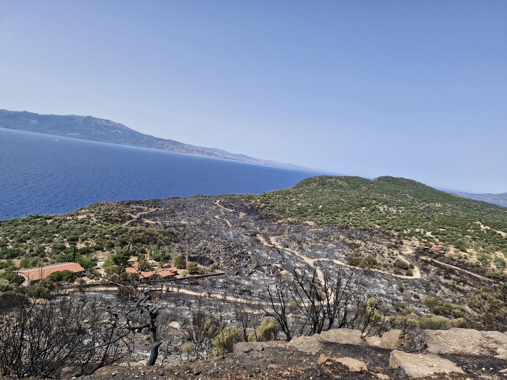 Assos Behramkale'deki yangından geriye kalan. Bu sadece bir kısmı. Amfitiyatroyu göremedim ama yangının amfitiyatroya kadar ulaştığını söylüyorlar. Yangın Behram'a 500 mt mesafede başlayıp rüzgarla birlikte birden fazla noktayı etkisi altına almış. Umarım bu son olur.