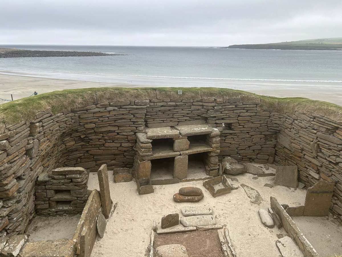 Emma Halnan tweet media