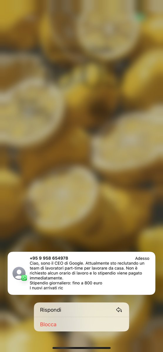 ffleviob95's tweet photo. Oggi bene! 😂 https://t.co/04c0E628ZV