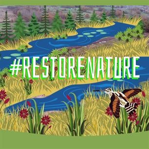 RecFishingEP's tweet image. The #RestoreNature Law has FINALLY been adopted earlier this month 😍

🇪🇺 #AnglingCommunity has fought heavily the past years for this #CRUCIAL #Regulation to pass.

Read the latest article on the #NRL adoption and the implications for #RecFishing on👇
bit.ly/3xAKowG