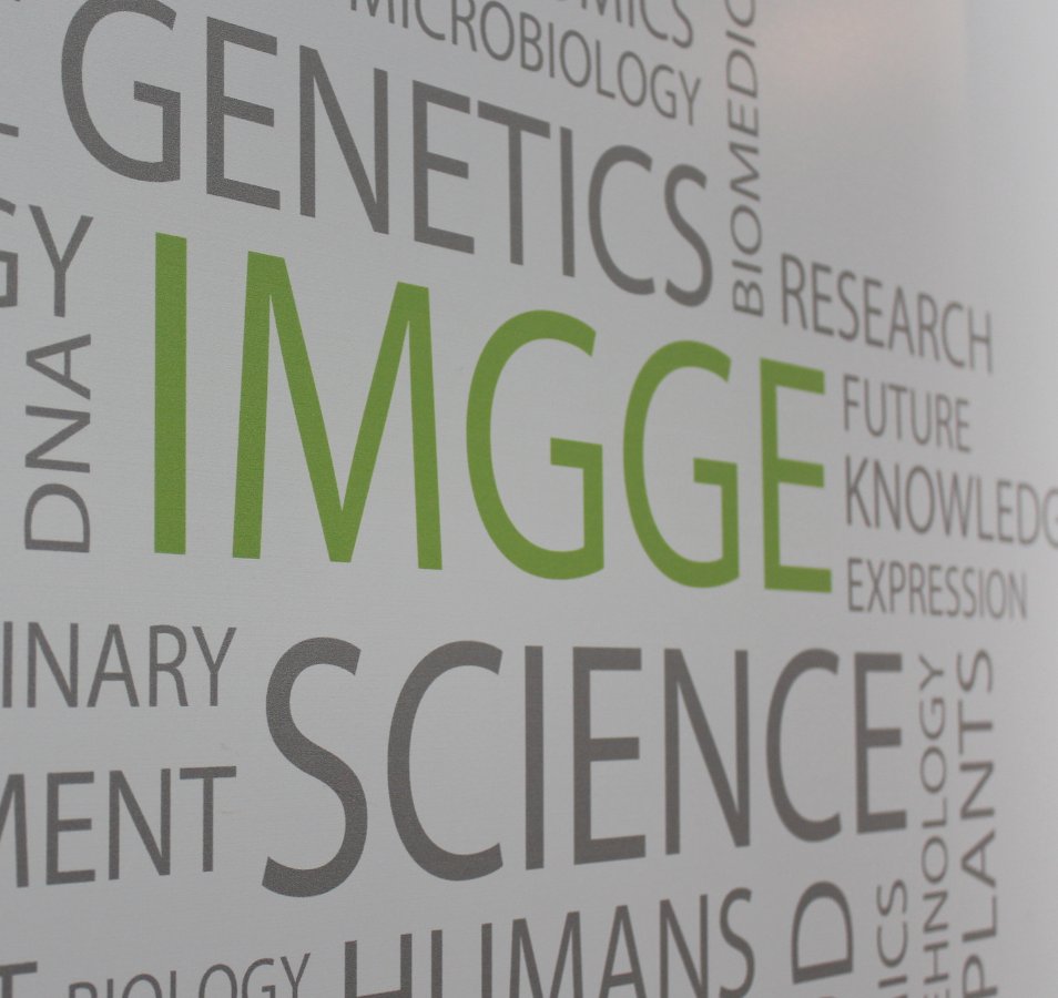 38 years of IMGGE

imgge.bg.ac.rs/en/about-us/hi…