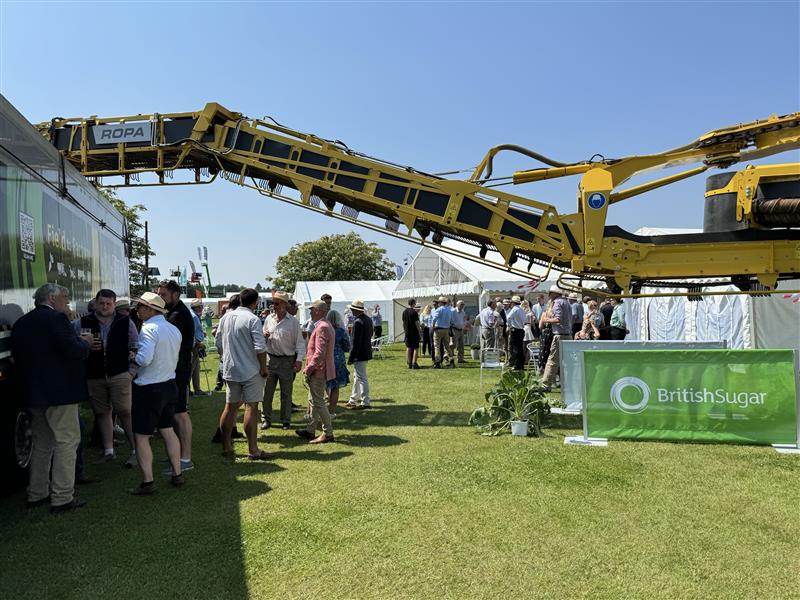 We’re back for day 2 at the @NorfolkShow today after a fantastic first day in the glorious sunshine!☀️Stop by and chat to the team on stand 350 to learn all about #sugarbeet and how the crop goes from the fields of #Norfolk into a Silver Spoon pack on the shelf!🌱🚜#agriculture