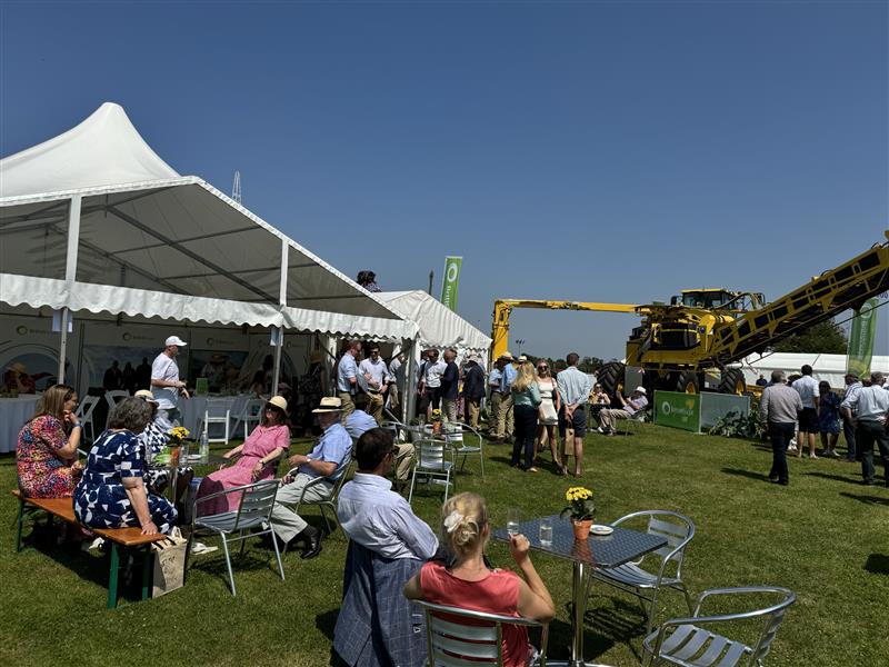 British Sugar tweet media