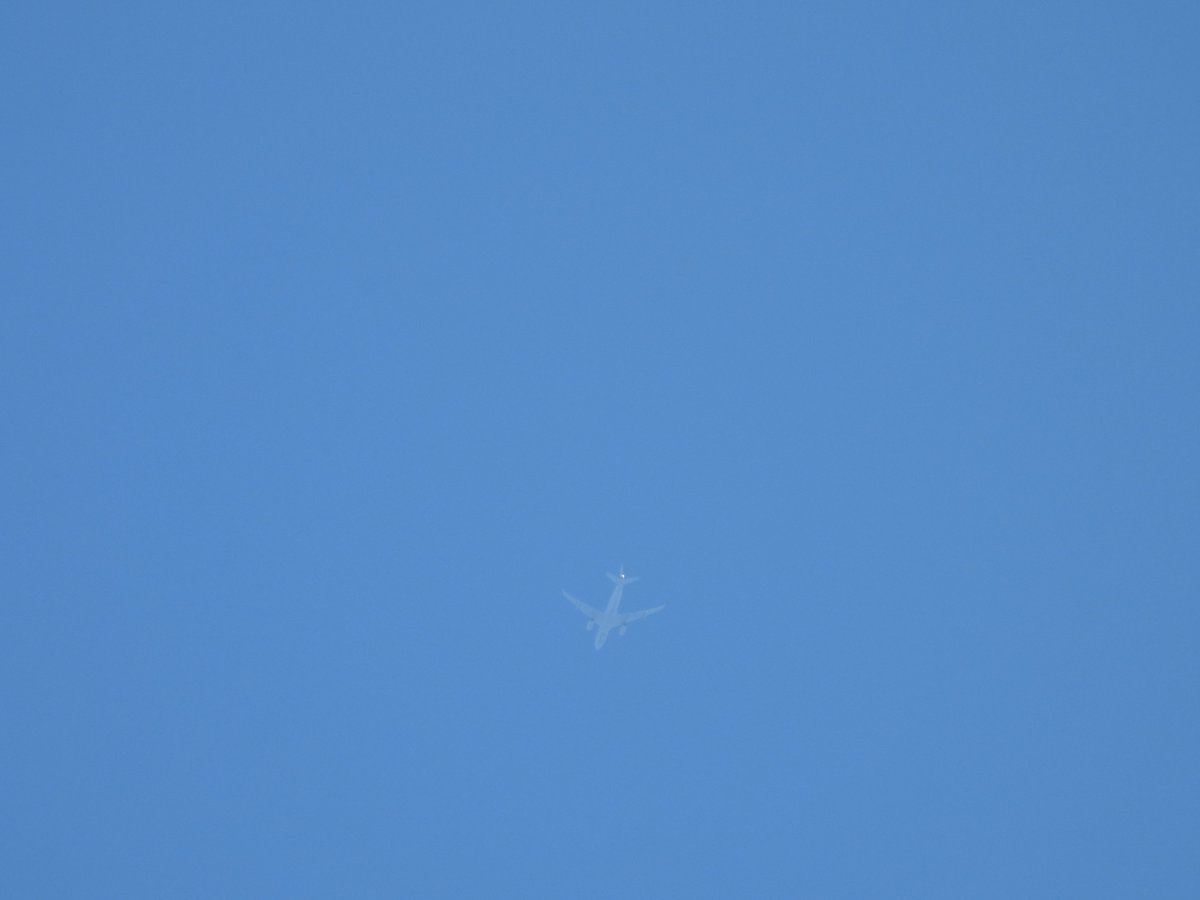 wesleyb1989's tweet photo. Dankjewel heat haze.. mijn eerste kans op een tanking.. #sad #nlspot #MMF34 #MMF33 (#GAFD18?)
Reg.: T-060
Kingdom of the Netherlands
DB flags: #military
Type: #A332
AIRBUS A-330-200
Type Desc.: #L2J
Squawk: 2113
#nikon #p950 https://t.co/6zZvtW7IwD