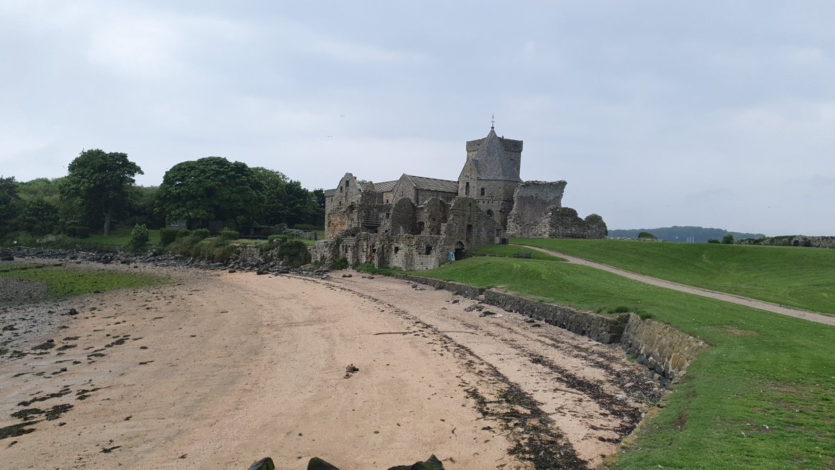 Helenecologist's tweet photo. White stonecrop thriving on the walls of the medieval Inchcolm Abbey on Inchcolm Island in the Firth of Forth @BSBIScotland @HistEnvScot https://t.co/2EydH1QvXi