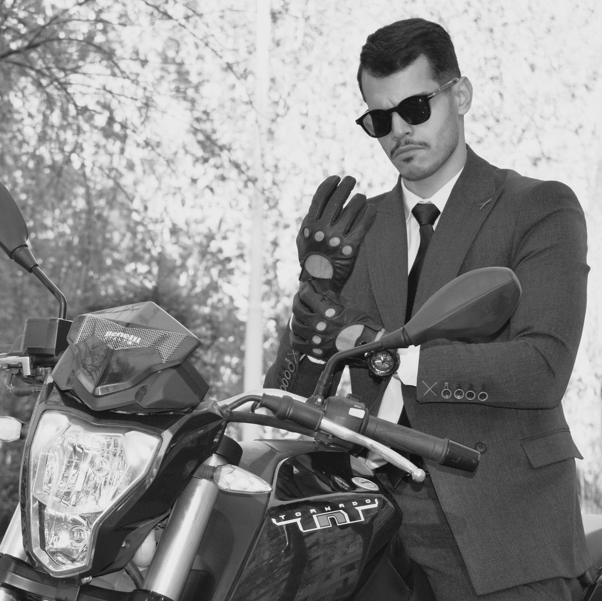 hamidphoenix tweet media