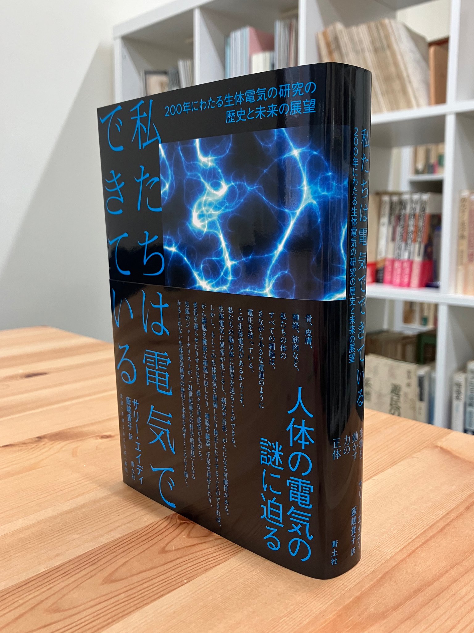 私たちは電気でできている / エイディ，サリー【著】〈ADEE