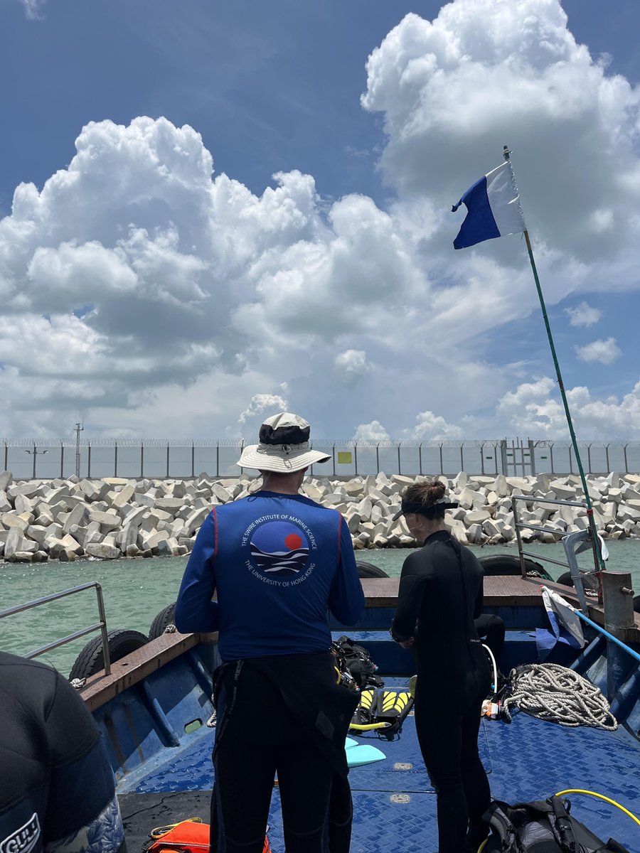 MarineFutureLab's tweet photo. Success ✅ in baseline marine #biodiversity surveys on the sea wall of the new #HongKong International Airport 3rd runway to inform large scale #OysterReef #restoration. We found some oysters; once we deploy shell/rock for reef base in 2024 this could be ideal for oyster growth! https://t.co/Ak5lJfAPOI