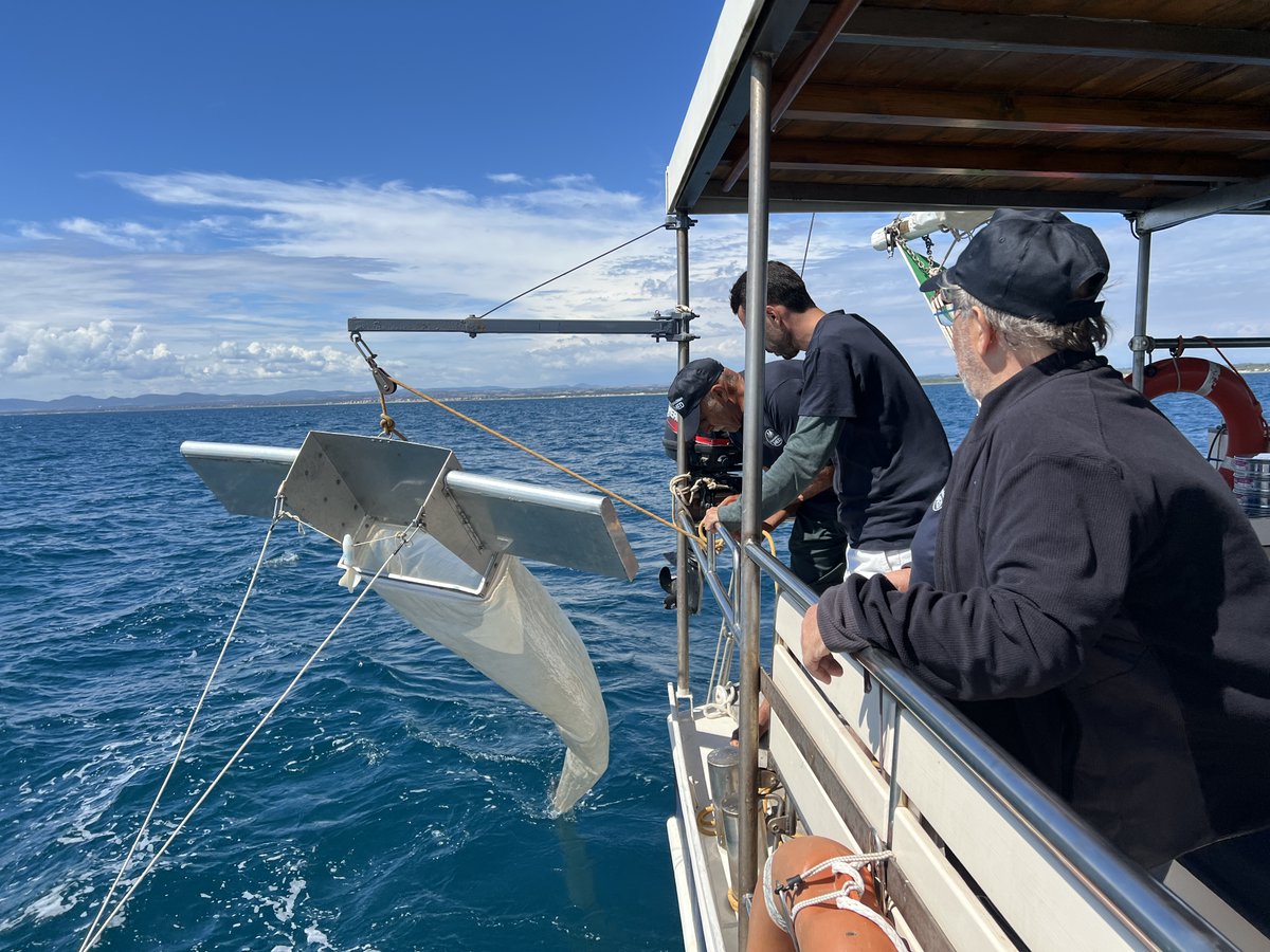 Cédric Stanghellini tweet media