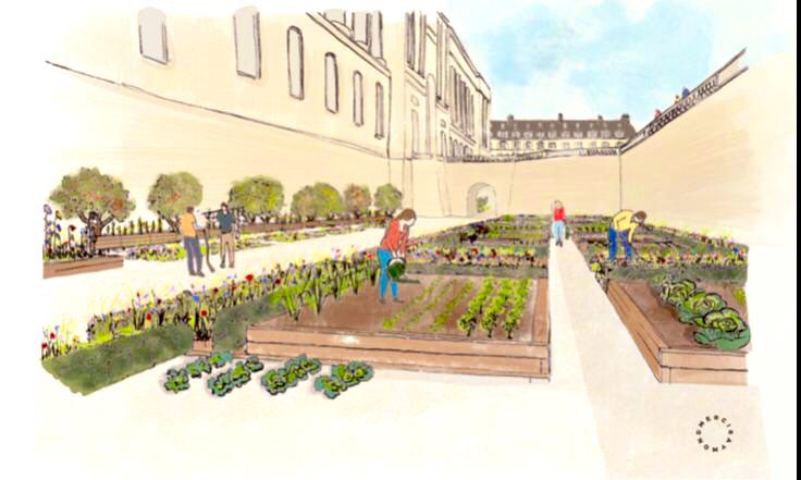 Ariel Weil (@arielweilt) on Twitter photo Que de sarcasmes quand j’avais proposé un jardin potager pour les fossés du <a href="/MuseeLouvre/">Musée du Louvre</a> encombrés depuis des décennies par des baraques de chantier. À présent qu’elles sont enfin débarrassées, l’herbe peut repousser. C’est toute la place du Louvre qui doit à présent s’embellir ! Que de sarcasmes quand j’avais proposé un jardin potager pour les fossés du <a href="/MuseeLouvre/">Musée du Louvre</a> encombrés depuis des décennies par des baraques de chantier. À présent qu’elles sont enfin débarrassées, l’herbe peut repousser. C’est toute la place du Louvre qui doit à présent s’embellir !