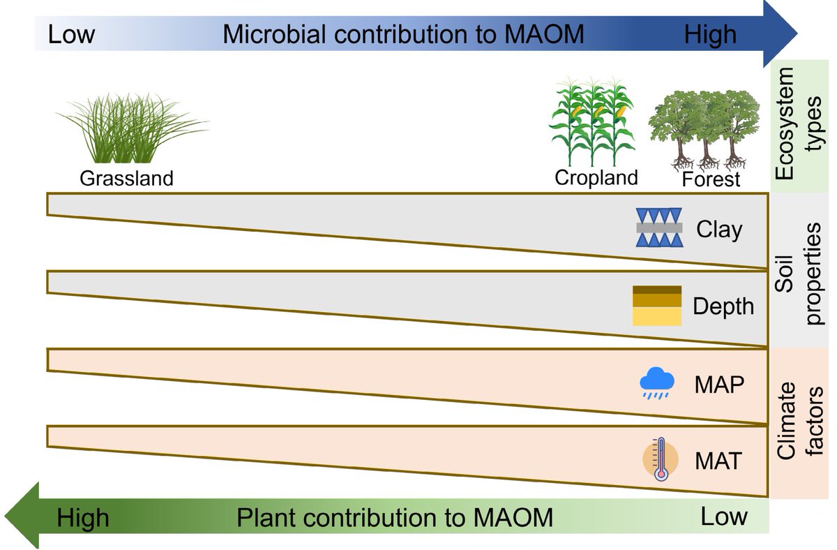 ykuzyakov's tweet photo. NEW in @GlobalChangeBio
Refining stoichiometric approaches to trace #soil organic matter sources
https://t.co/mlVWcu2xm5

#SoilOrganicMatter #SoilOrganicCarbon #agriculture #grasslands #Roots #litter https://t.co/ViVyZLo3jY
