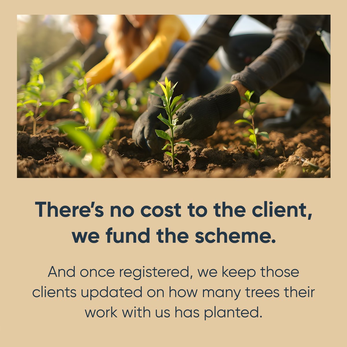 Morgans Consult tweet media