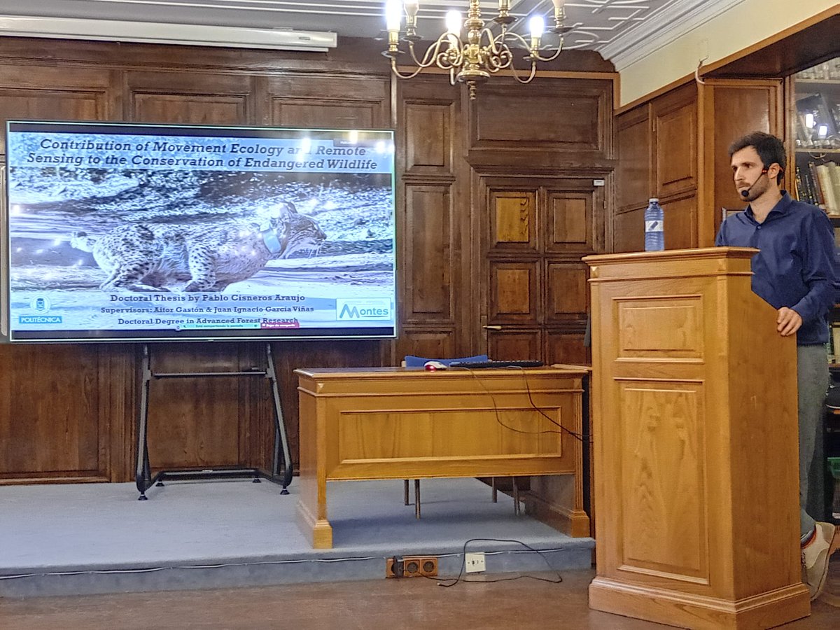 Such a great time being a jury member for the PhD dissertation of Pablo Cisneros-Araujo <a href="/pabcis/">Pablo Cisneros Araujo</a> at <a href="/ECOGESFOR/">ECOGESFOR</a>. I learnt a lot about movement ecology and remote sensing 🛰 to guide the conservation of Iberian lynx 🐯, Cantabrian bear 🐻 and more! see a summary here 👇 #rstats