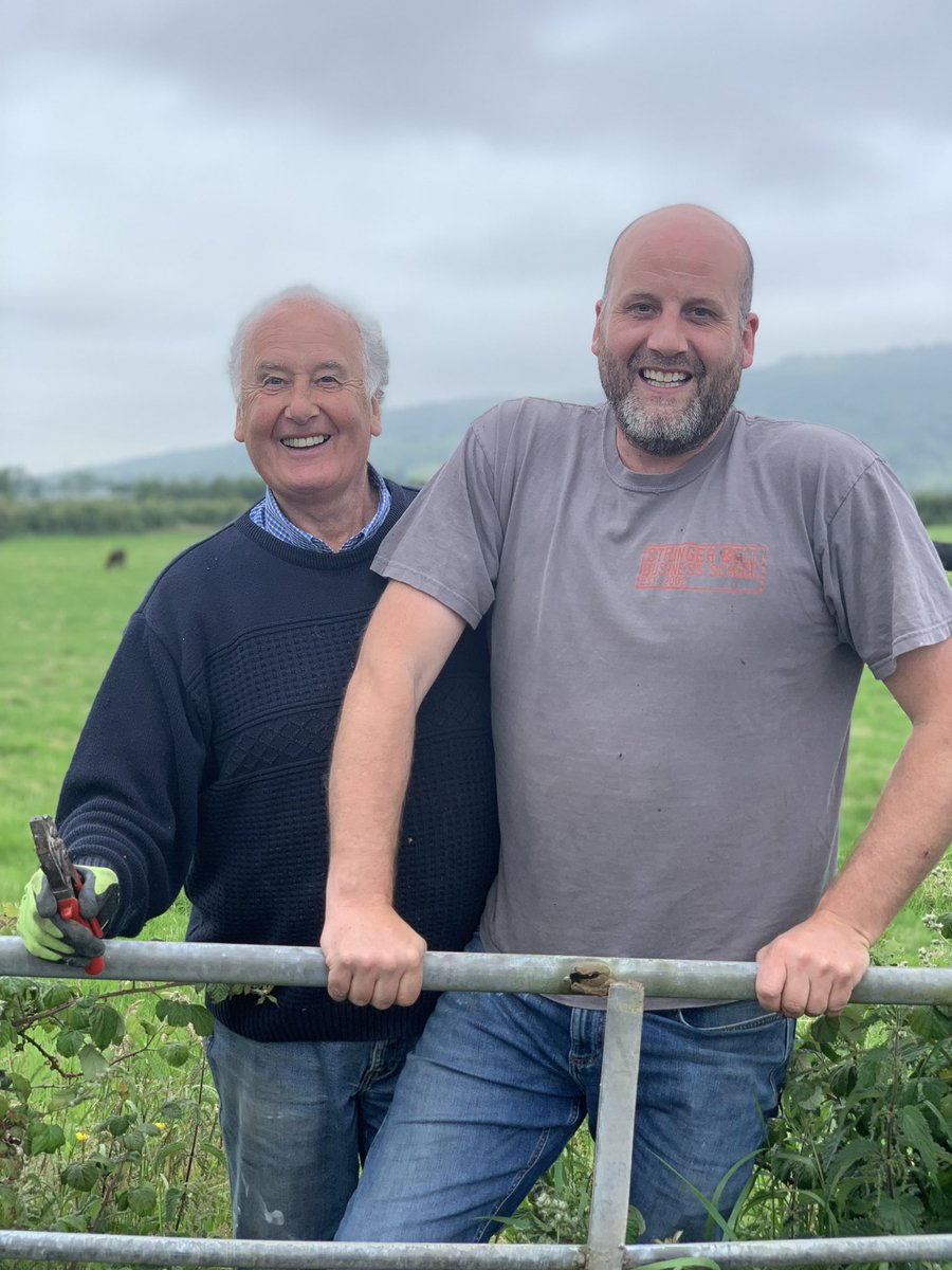 Out repairing some fences under the watchful eye of the boss 👀