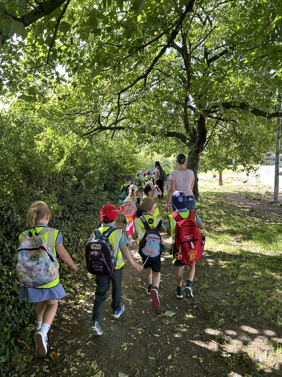 Mrs Wills tweet media