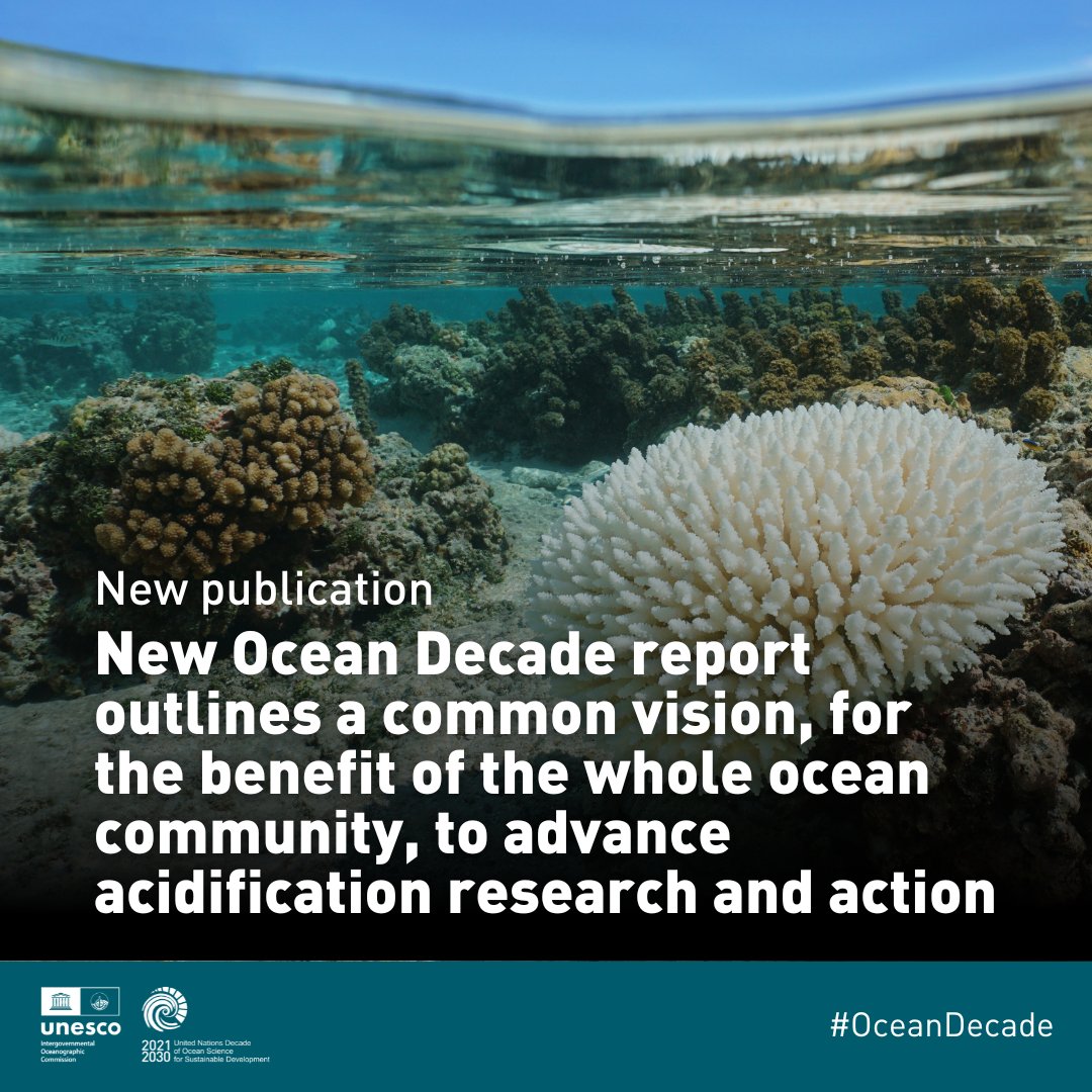 UNOceanDecade's tweet image. New report by @IocUnesco @goa_on @PlymouthMarine and partners outlines a community vision for the Ocean Acidification Research for Sustainability Programme to advance acidification research and enable science-based policies during the #OceanDecade. 

👉 ow.ly/lKnj50SmyUV