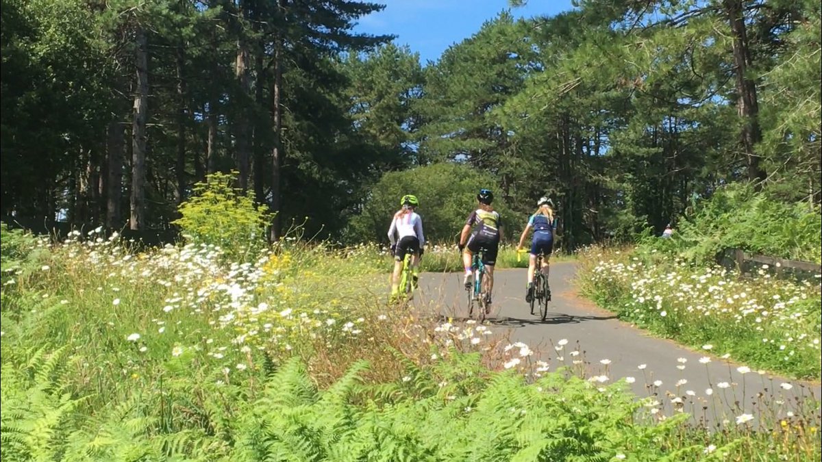 Gower Riders CC tweet media