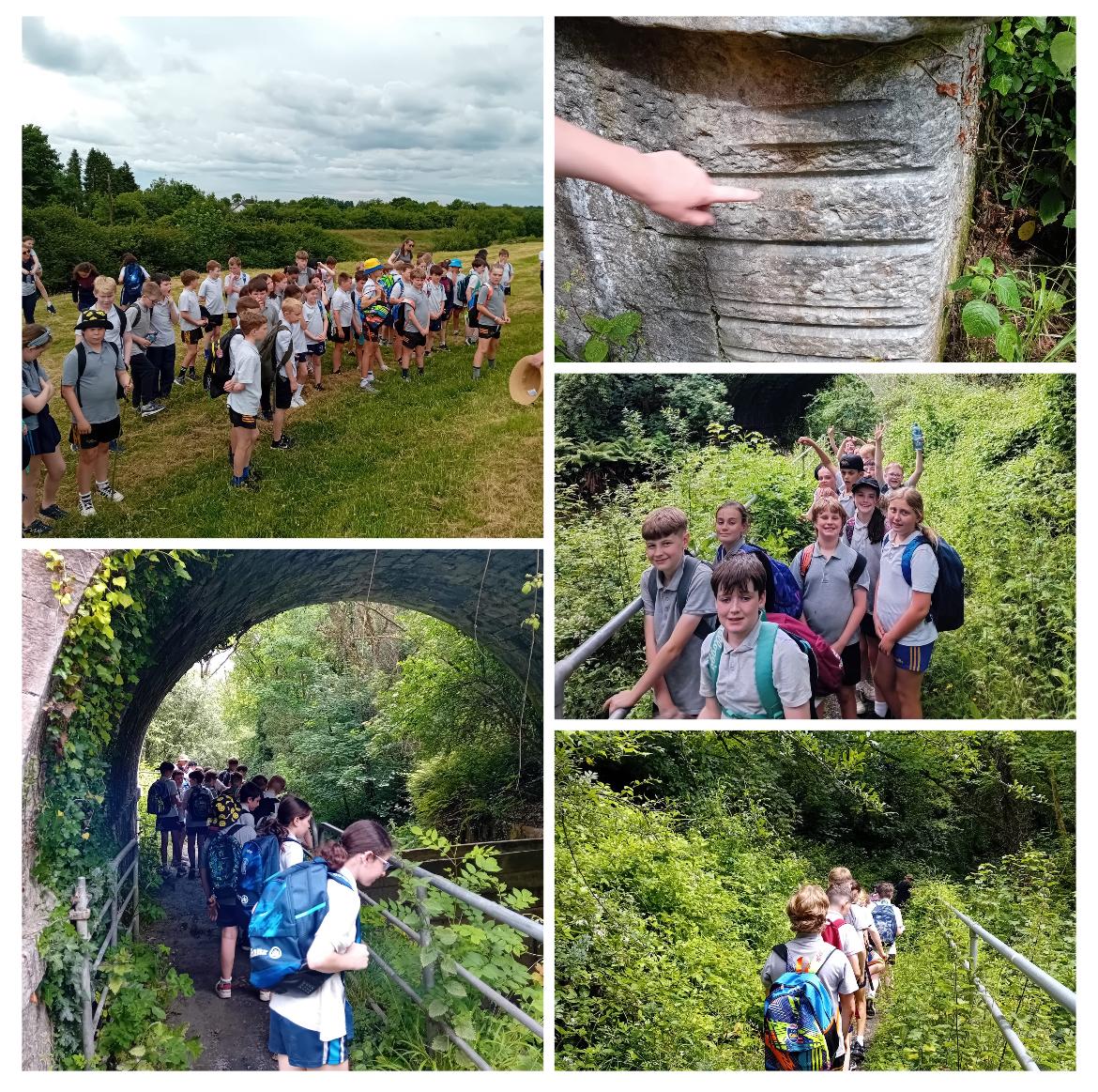 Yesterday 3rd and 4th Class went on a walking tour of the Old Errina Canal and the new canal. How amazing to have such wonderful history and nature on our school's doorstep.