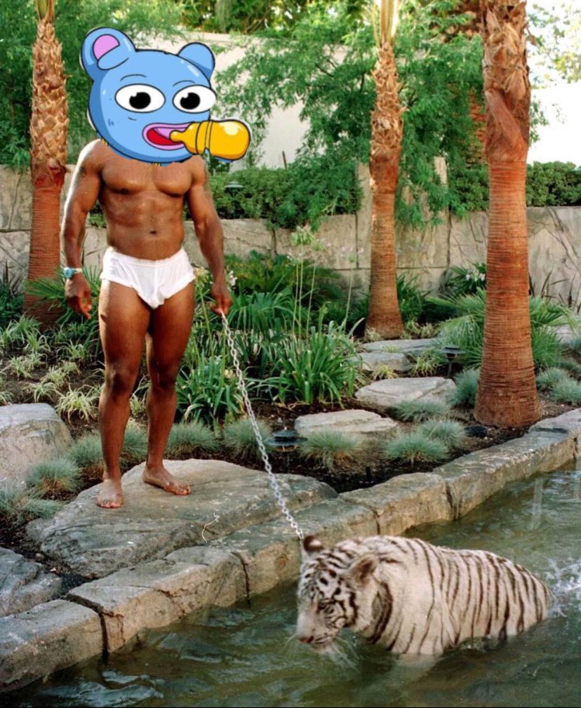 BOBR Gang tweet media