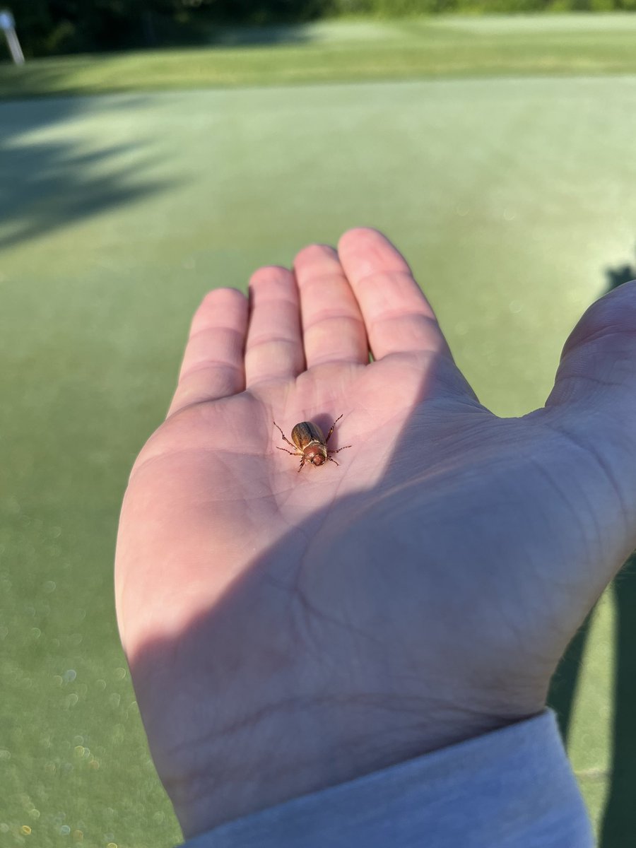 Matthew Legg tweet media