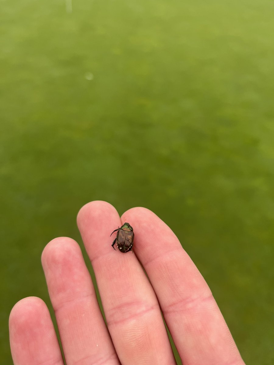 Matthew Legg tweet media