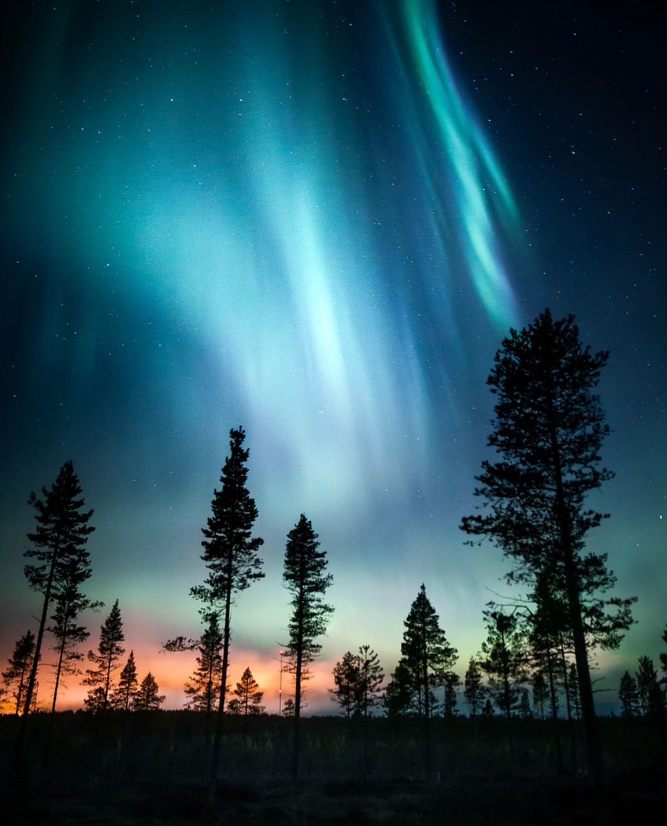 Natures light show 💫