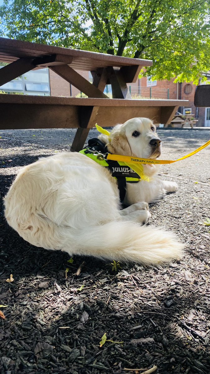 Three Trees Academies tweet media