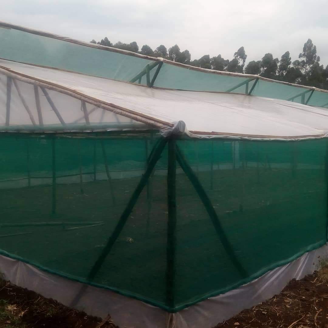 Promoting affordable greenhouse farming technologies and Research in water management # yields #smallhoder farmers <a href="/FarmersAfric/">Farmers Review Africa</a> <a href="/OgetoAlex/">Farmer</a> <a href="/FARAinfo/">FARA Africa</a> <a href="/farmingfirst/">Farming First</a> <a href="/FAO/">Food and Agriculture Organization</a> <a href="/narouganda/">NARO Uganda</a> <a href="/OxfaminUganda/">Oxfam in Uganda</a> <a href="/iten_official/">THE FARMER🌱🌱</a>