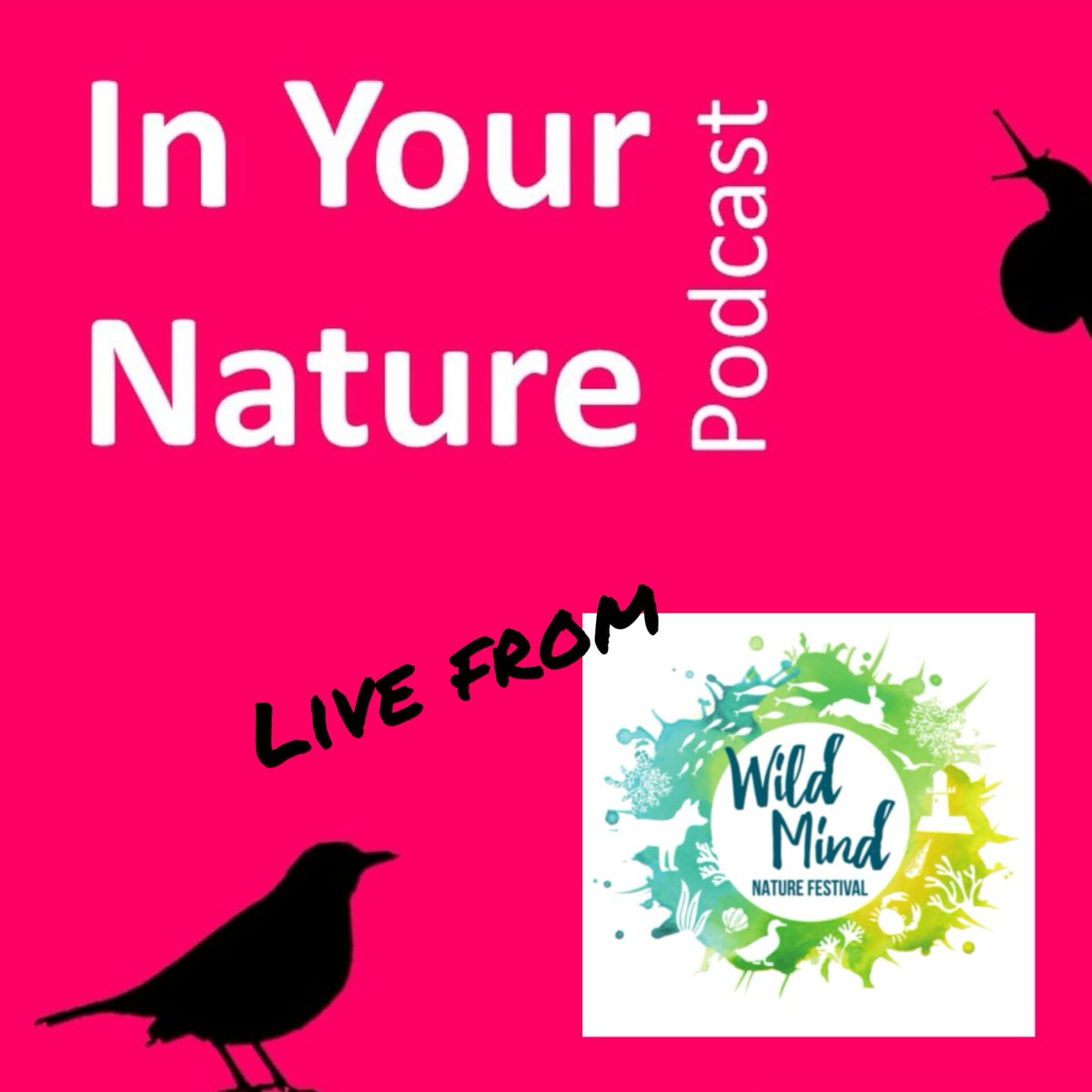 BirdWatch Ireland tweet media