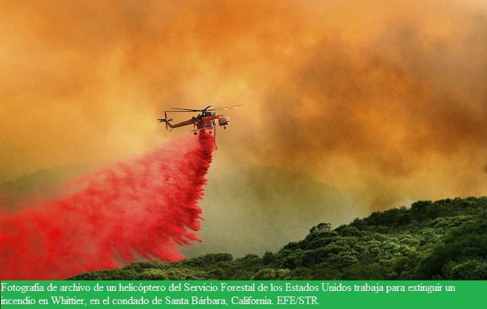 Ingeniería Forestal tweet media