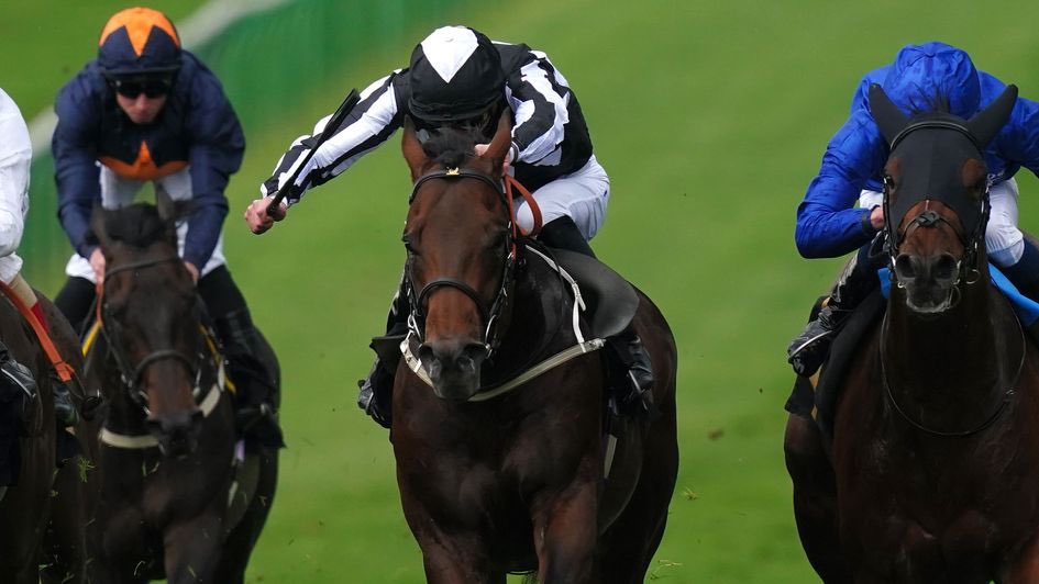 SFRacingTips's tweet photo. ✍️TODAY

📍NEWMARKET (JULY)

15:25 - Waleefy 2/1 
16:30 - Benacre 9/1 ew

📍NEWCASTLE 

15:35 - Veydare 7/4

📍NOTTINGHAM

14:10 - Story House 6/4 (NAP)
16:20 - Noisy Music 6/4

📍HAMILTON 

20:15 -  Kinematica 6/1 ew https://t.co/Cw4lYxiWxK