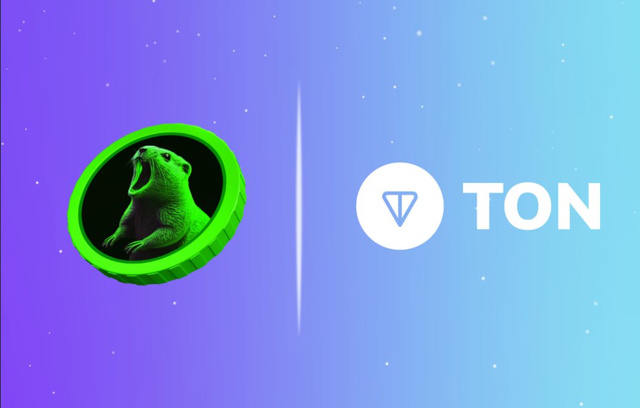 $BOBAK has formed a strategic partnership with the TON Foundation⭐

Congratulations on completing the contributors' round! We are now officially launching the public sale round, in which you can participate across all three networks 🚀

Visit bobak.meme to join in!